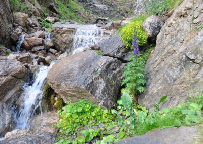 Parque Natural del Cadí-Moixeró