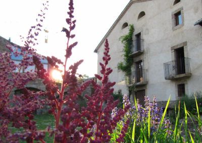 Cal Calçot