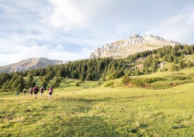 Festival Cavalls del Vent