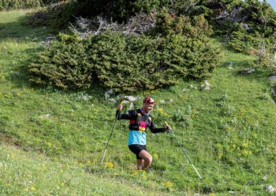 Festival Cavalls del Vent