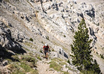 Festival Cavalls del Vent